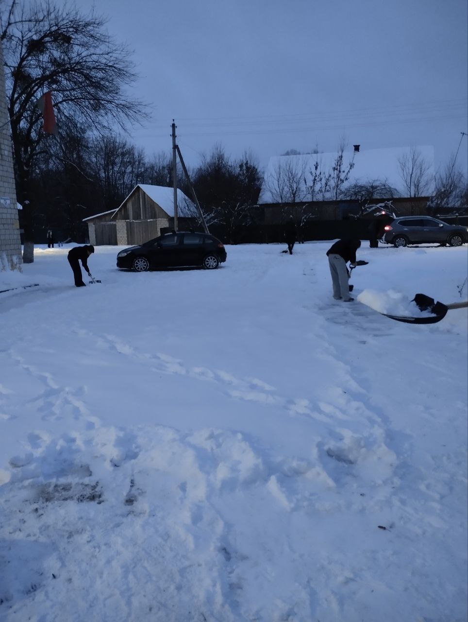 photo 3 2026 01 20 11 06 34