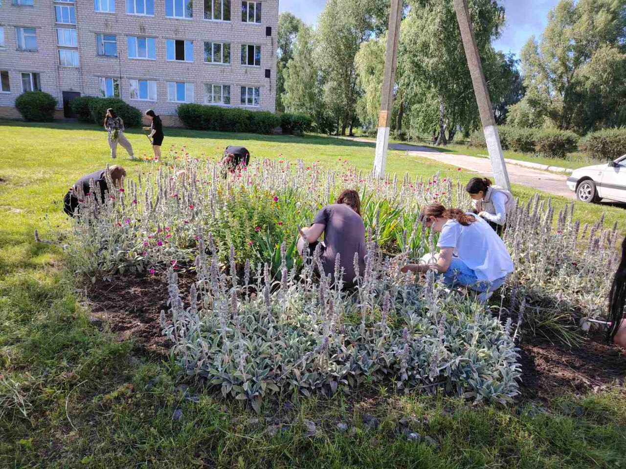 photo 4 2026 01 20 10 57 00